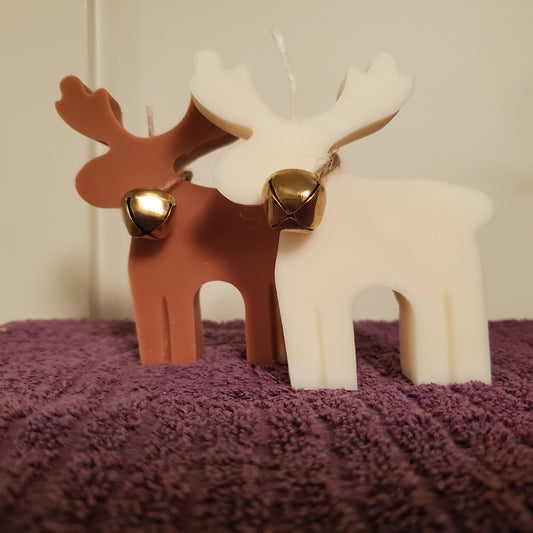 Reindeer